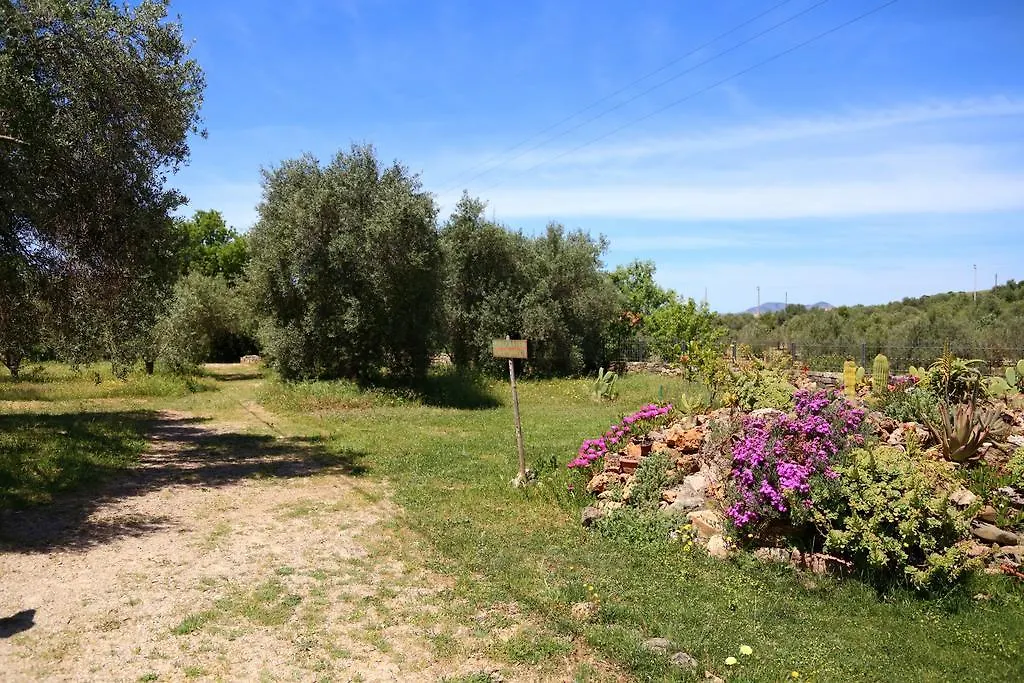 Alloggio per agriturismo B&B Nuraximannu Santadi